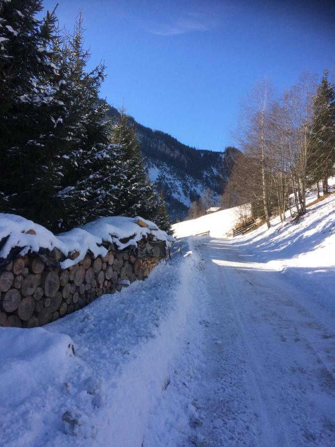 Appartement Knapp Wald im Pinzgau Bagian luar foto